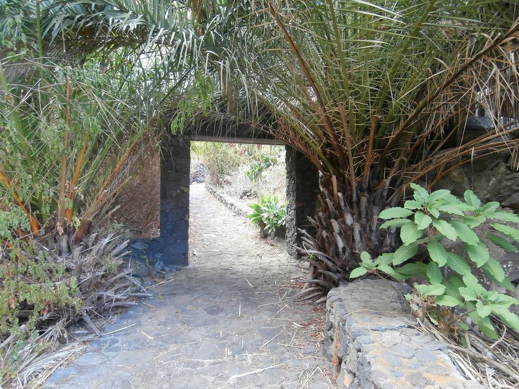 Molino Remanente * Santa Cruz de la Palma (Isla de la Palma)