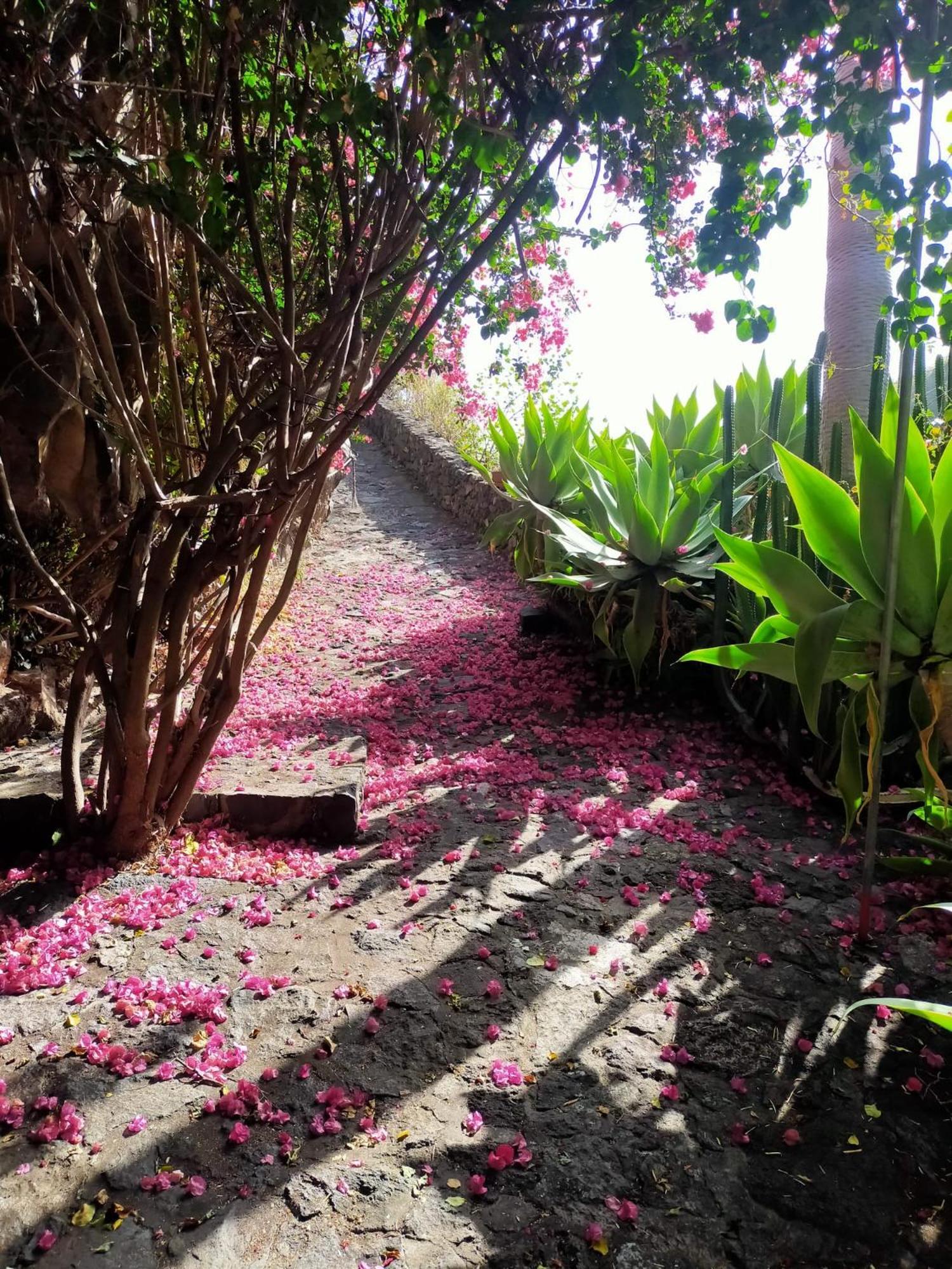 Molino Remanente Appartamento Santa Cruz de la Palma (Isla de la Palma)